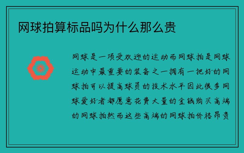 网球拍算标品吗为什么那么贵