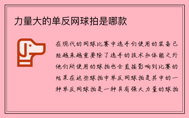 力量大的单反网球拍是哪款