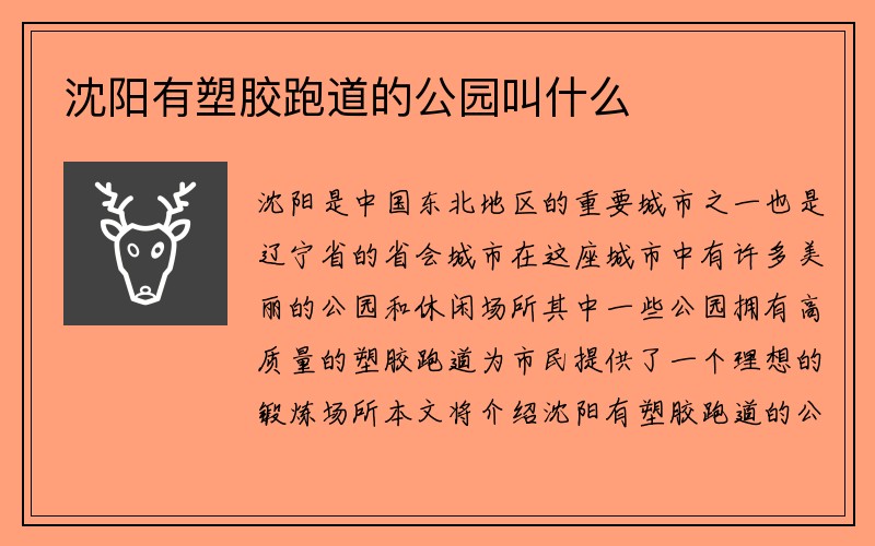 沈阳有塑胶跑道的公园叫什么