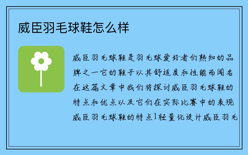 威臣羽毛球鞋怎么样