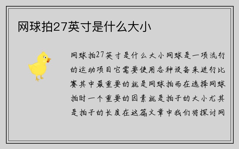 网球拍27英寸是什么大小