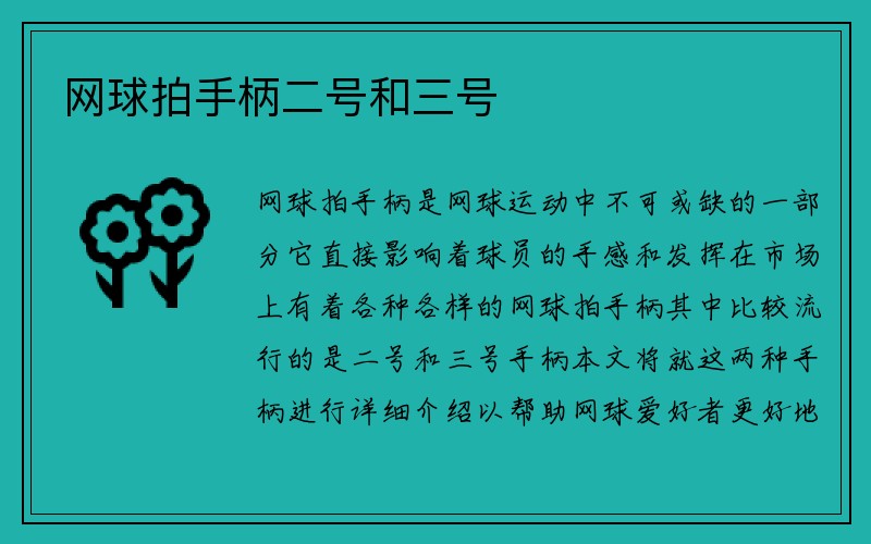 网球拍手柄二号和三号