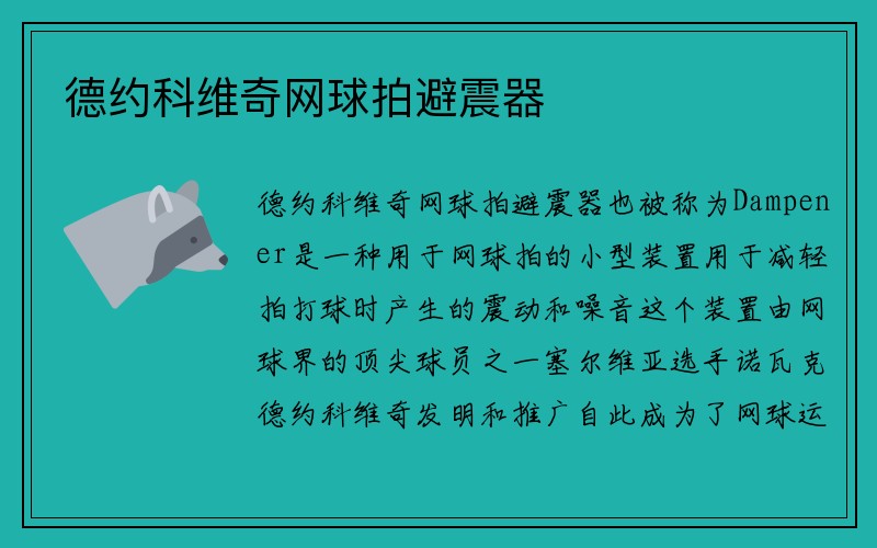 德约科维奇网球拍避震器