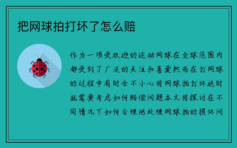 把网球拍打坏了怎么赔