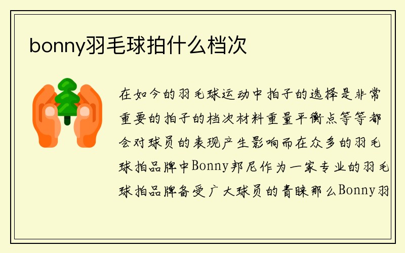 bonny羽毛球拍什么档次