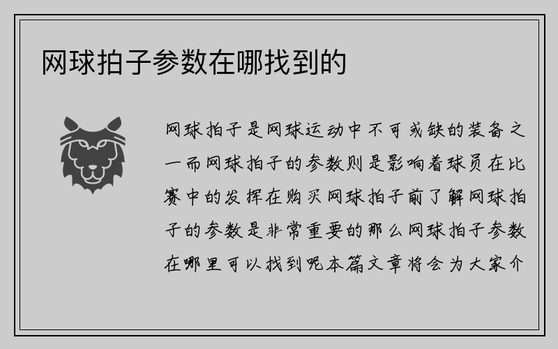 网球拍子参数在哪找到的