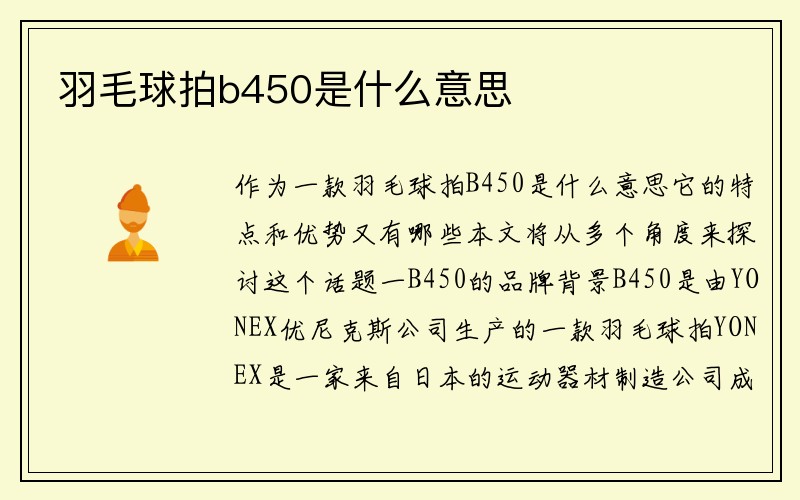 羽毛球拍b450是什么意思